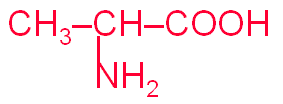 acido2aminopropanoico.GIF